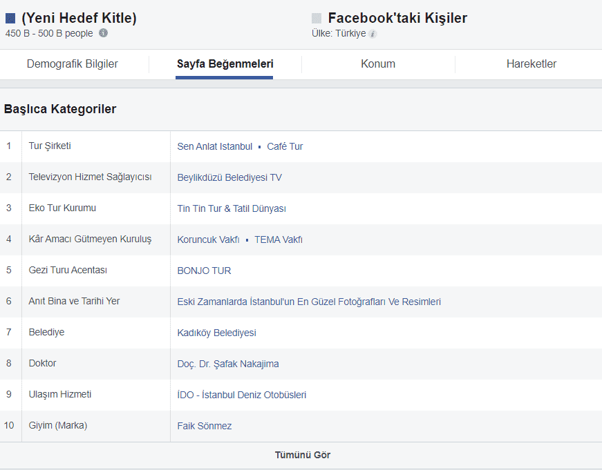 Facebook Hedef Kitle kategoriler