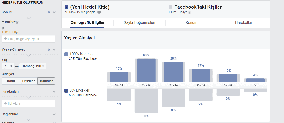 Facebook Hedef Kitle Analizi demografi