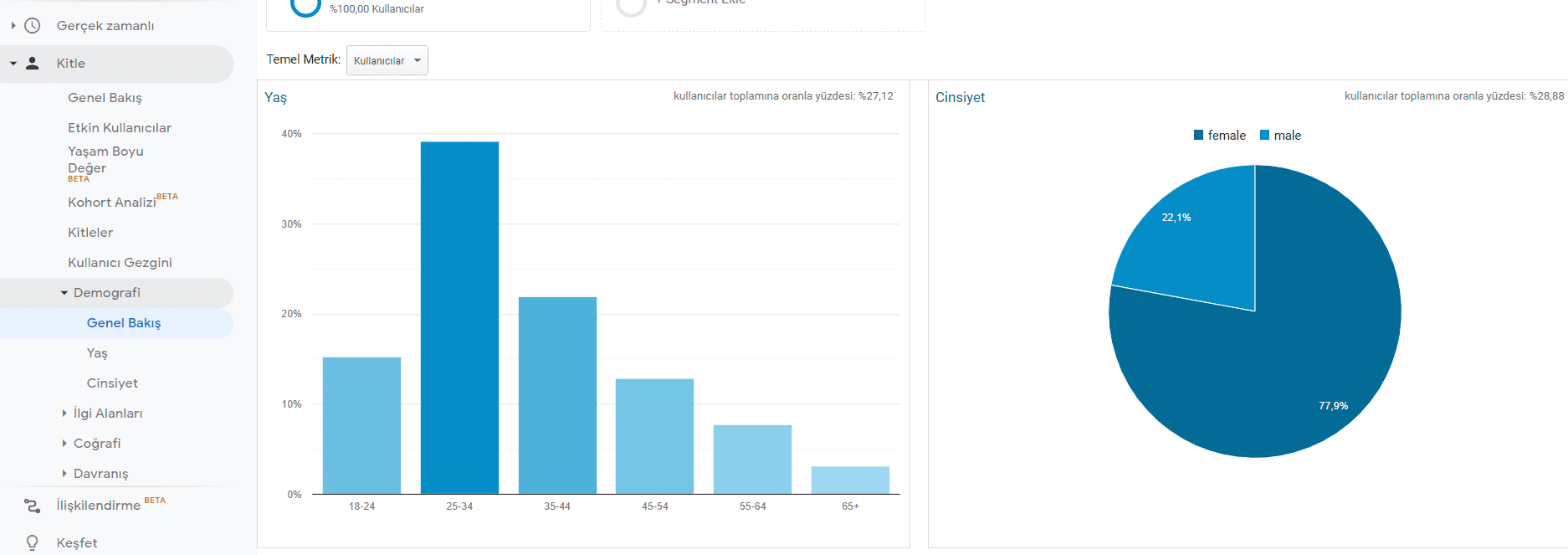 Google Analytics İle Hedef Kitlenizi Keşfedin - hedef kitle genel bakış