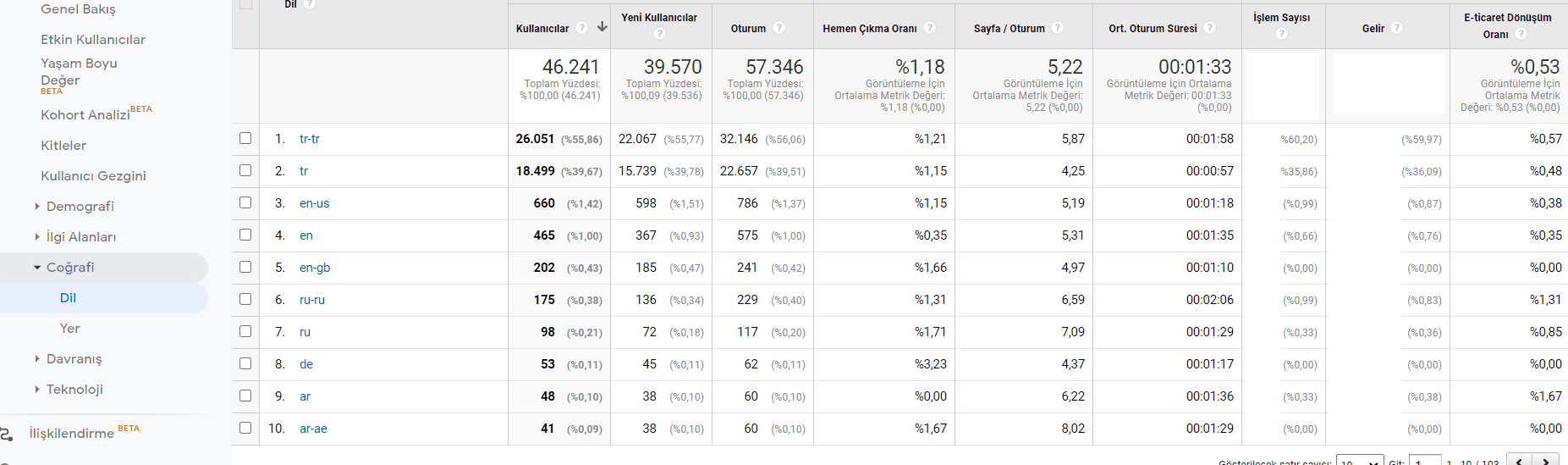 hedef kitle tarayıcı dil raporu