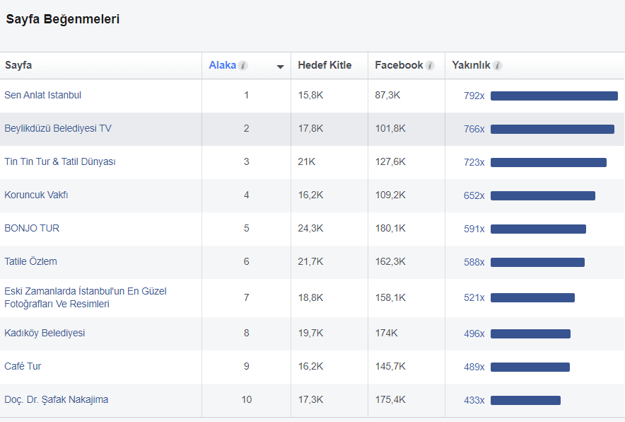Facebook Hedef Kitle sayfa beğenmeleri