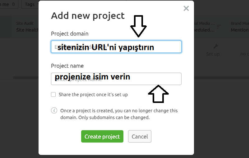 yeni proje site içi seo analizi