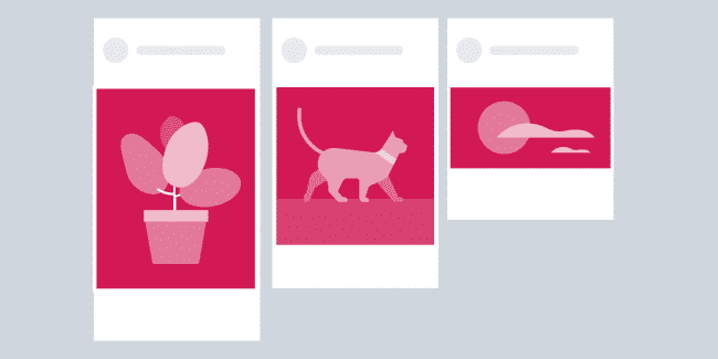 Sosyal Medya Görsel Boyutları instagram besleme fotoğraf boyutları