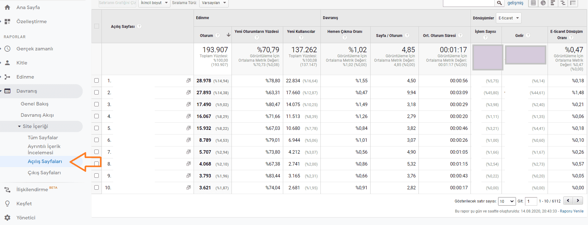 açılış sayfası raporu