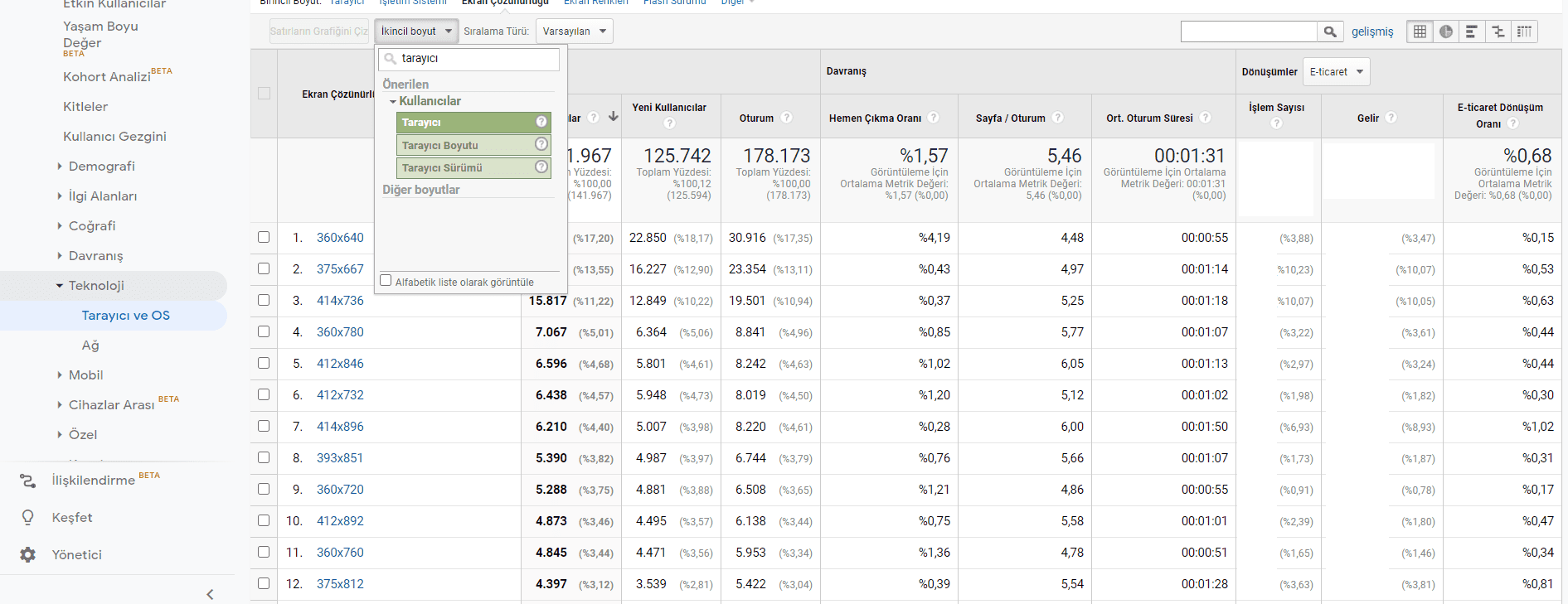 tarayıcı düzeyinde rapor