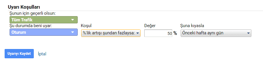 google analtics özel uyarılar trafik