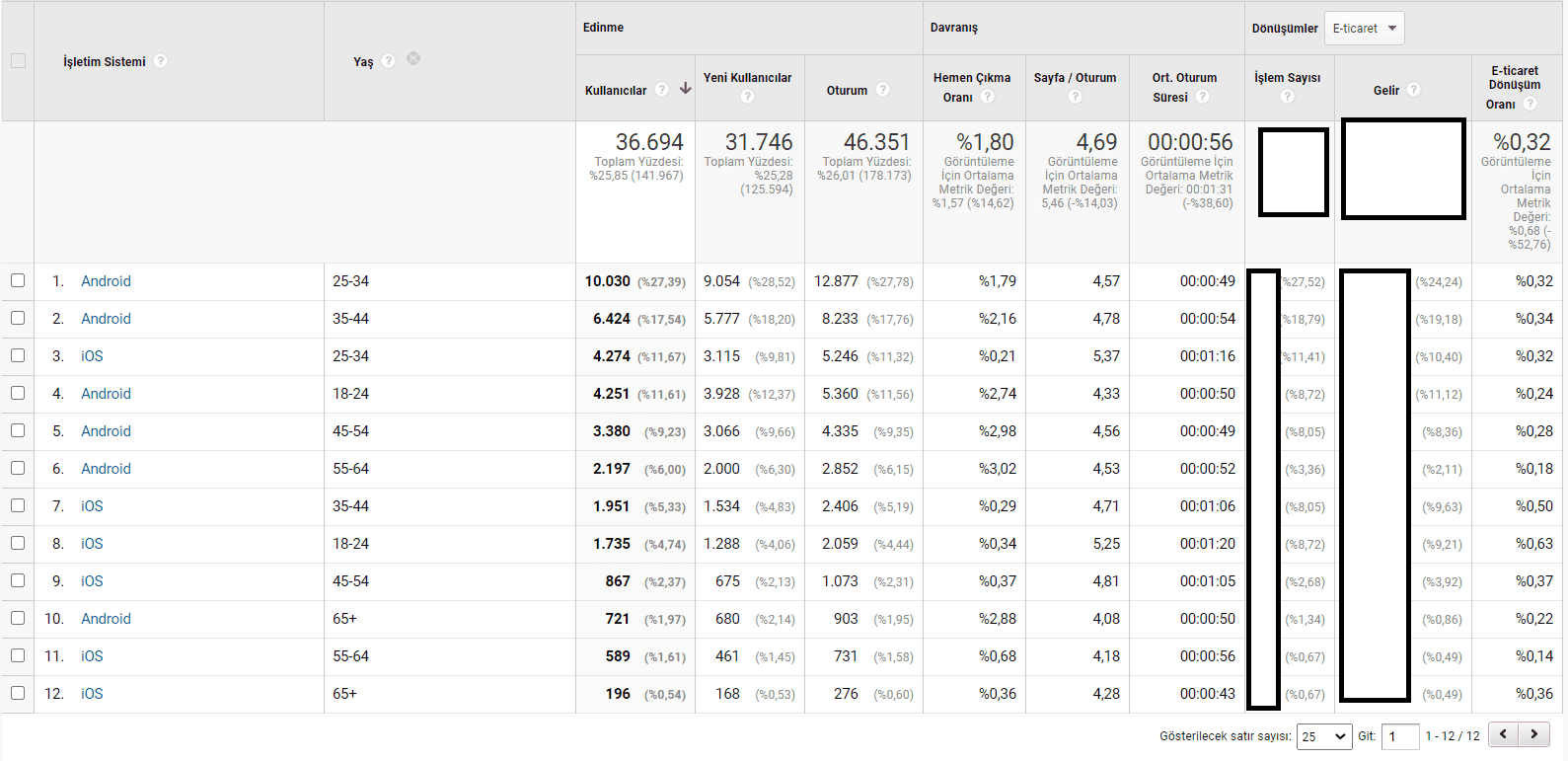 yaş ve işletim sistemleri raporu