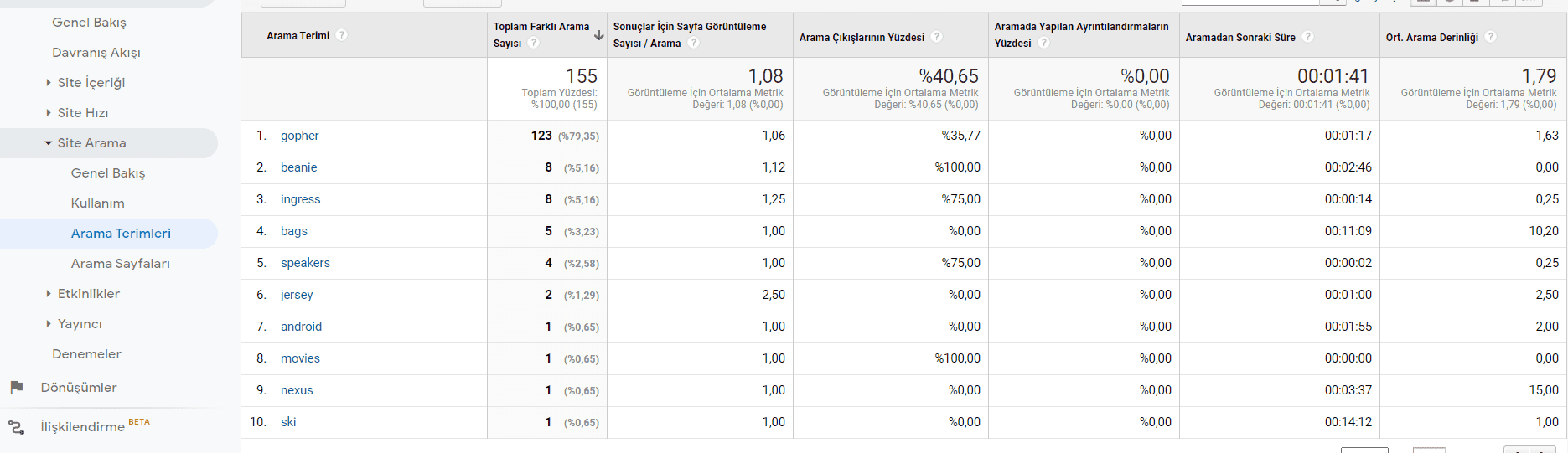 örnek arama terimleri raporu