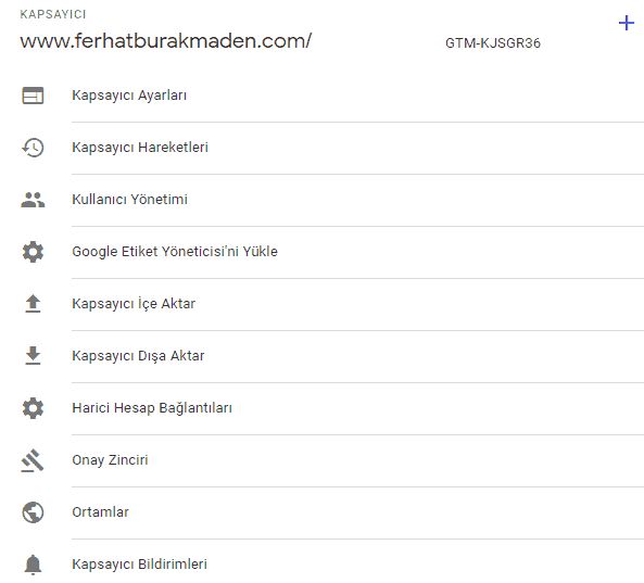 Tag Manager kapsayıcı