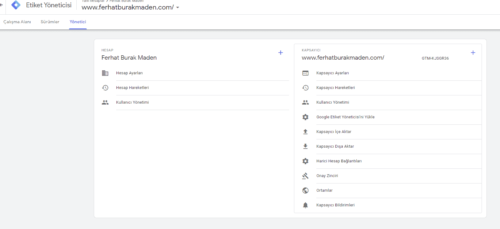 Tag Manager yönetici alanları